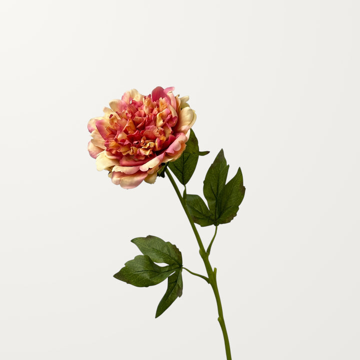 Peony – Amber (Real Touch) - view 3