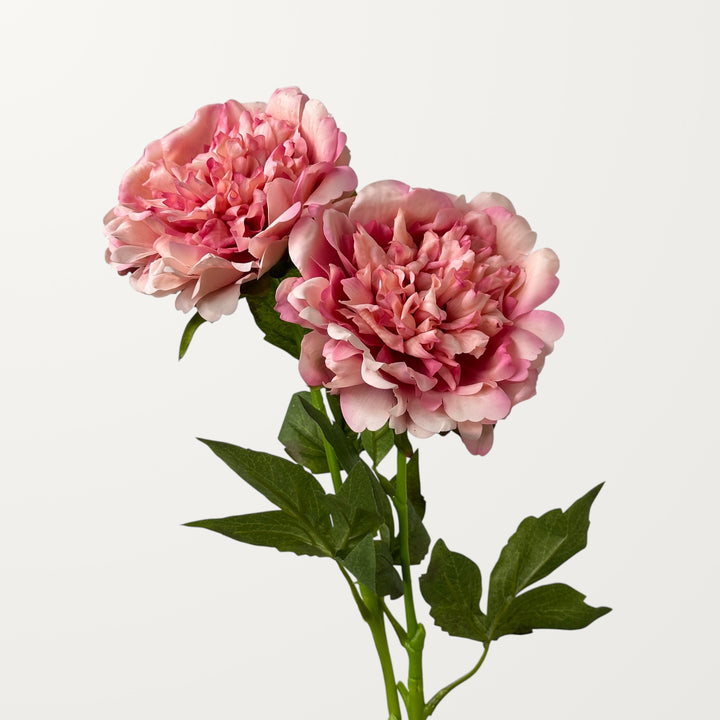 Peony – Blush Pink (Real Touch) - view 2