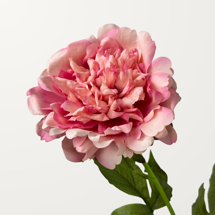 Peony – Blush Pink (Real Touch)