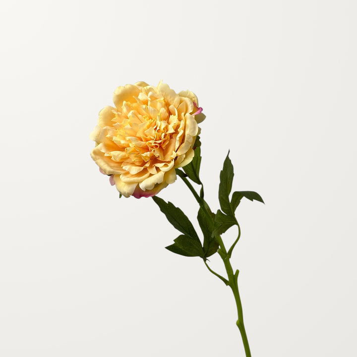 Peony – Champagne (Real Touch) - view 3