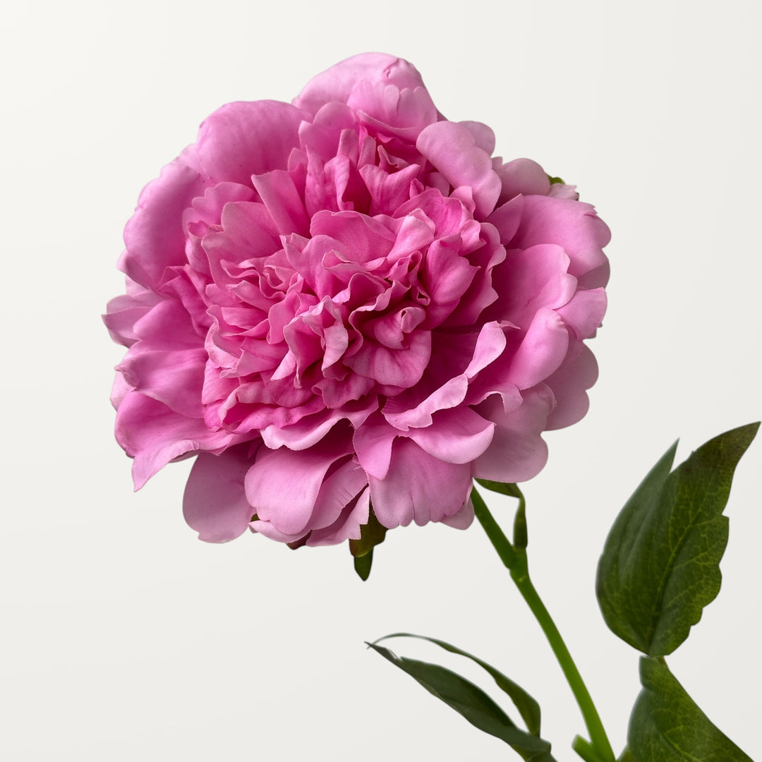 Peony – Hot Pink (Real Touch)