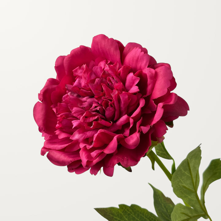 Peony – Magenta (Real Touch)