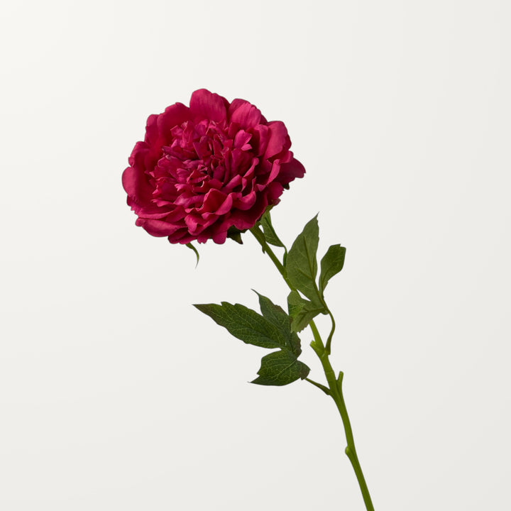 Peony – Magenta (Real Touch) - view 3