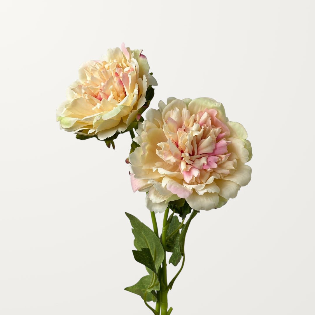 Peony – Peach Blush (Real Touch) - view 2
