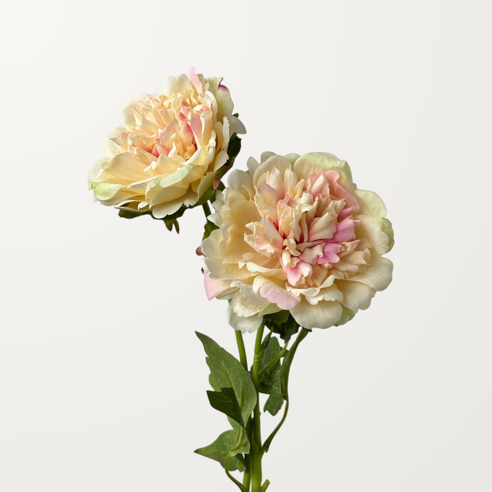 Peony – Peach Blush (Real Touch) - view 2