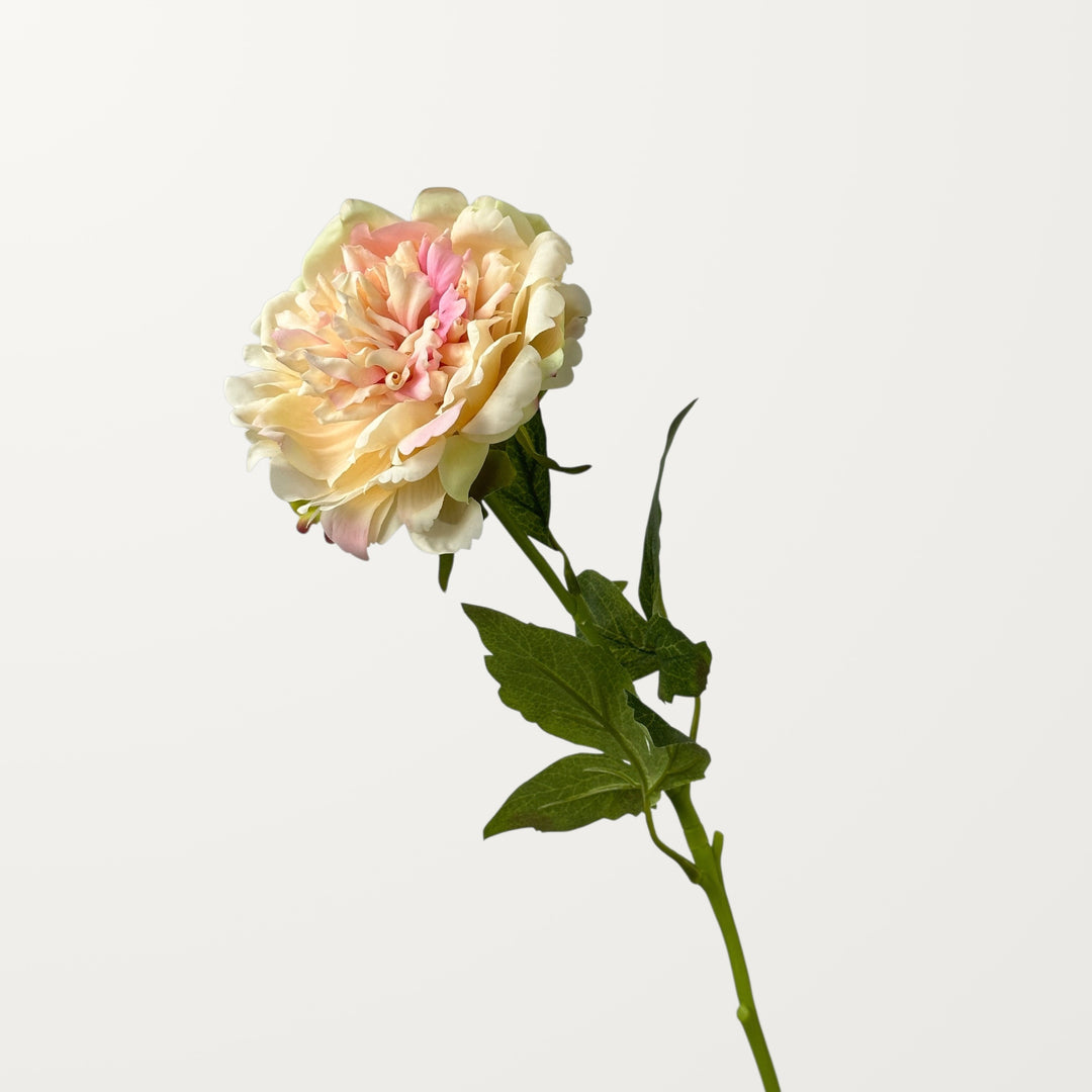 Peony – Peach Blush (Real Touch) - view 3