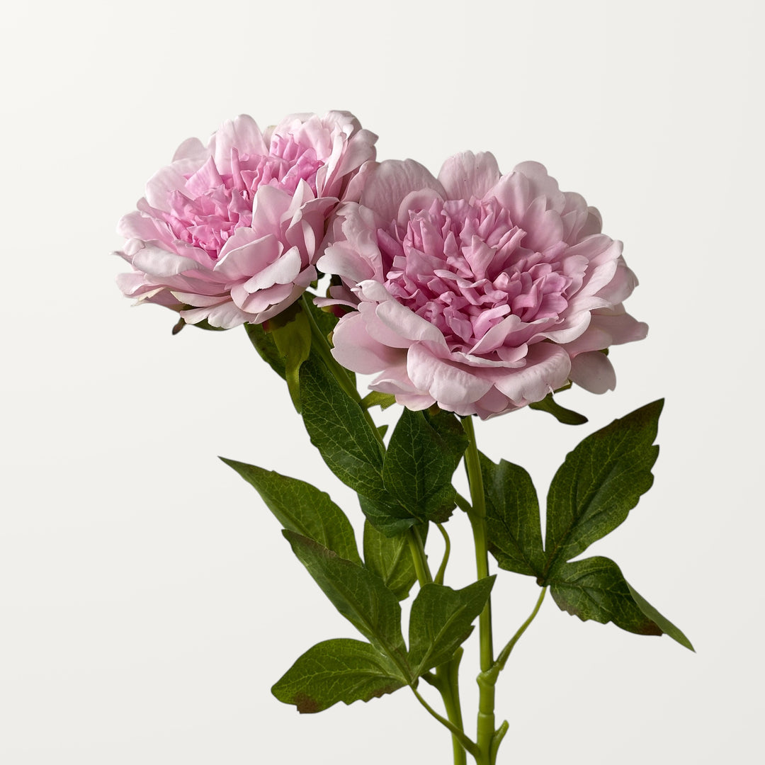 Peony – Purple Pink (Real Touch) - view 2