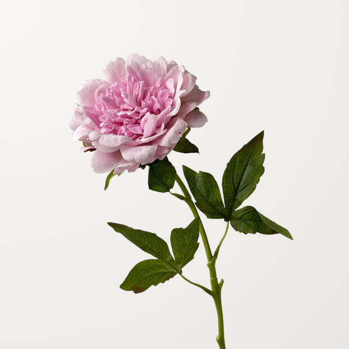 Peony – Purple Pink (Real Touch) - view 3