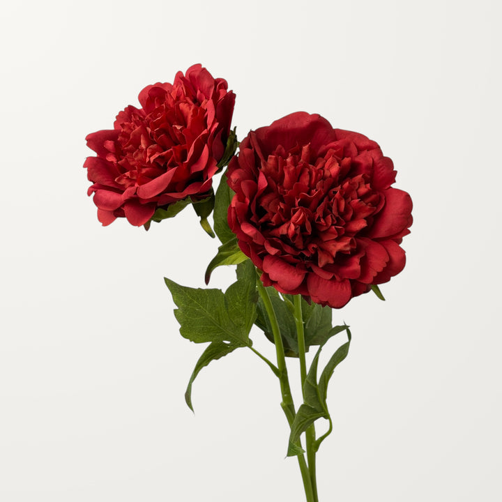 Peony – Red (Real Touch) - view 2