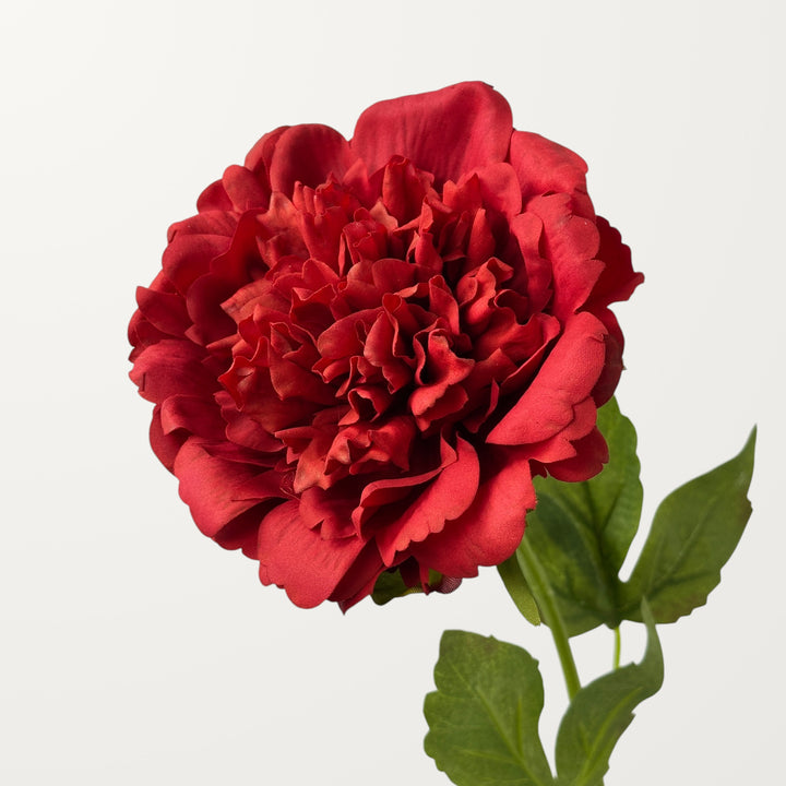 Peony – Red (Real Touch)