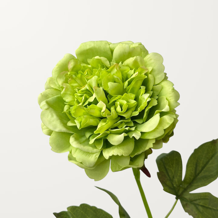 Peony – Soft Emerald (Real Touch)