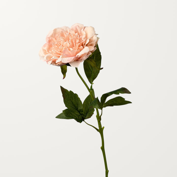 Peony – Shell (Real Touch) - view 3