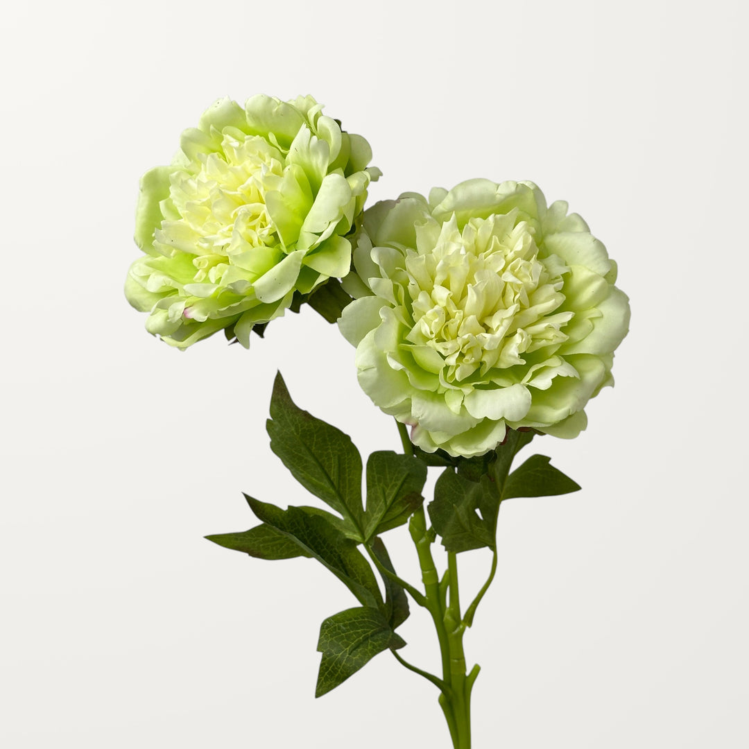 Peony – Spring Green (Real Touch) - view 2