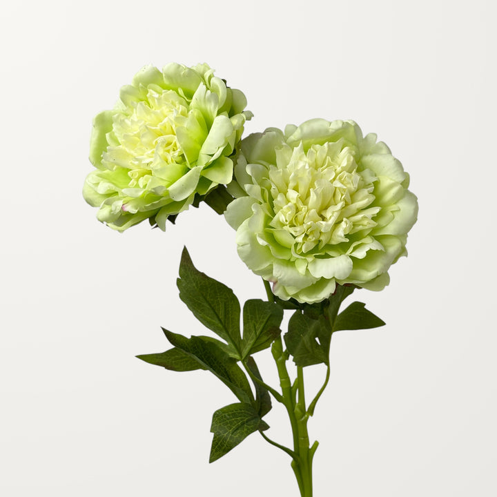 Peony – Spring Green (Real Touch) - view 2