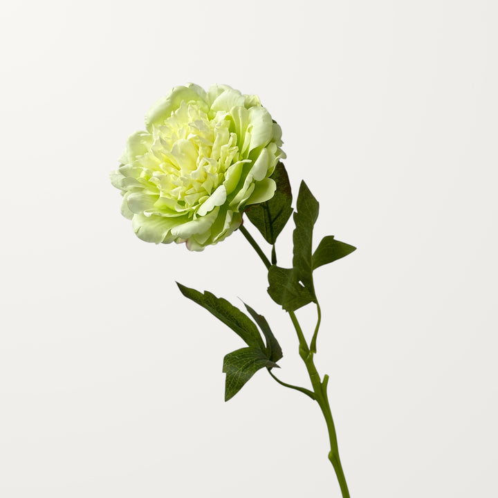 Peony – Spring Green (Real Touch) - view 3