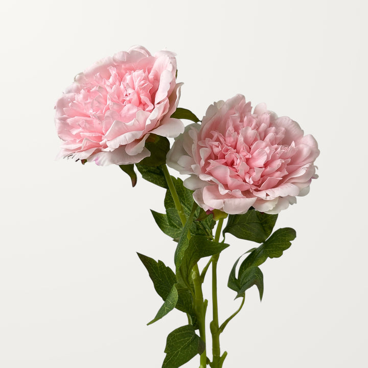 Peony – Soft Pink (Real Touch) - view 2