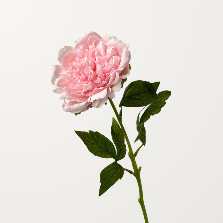 Peony – Soft Pink (Real Touch) - view 3