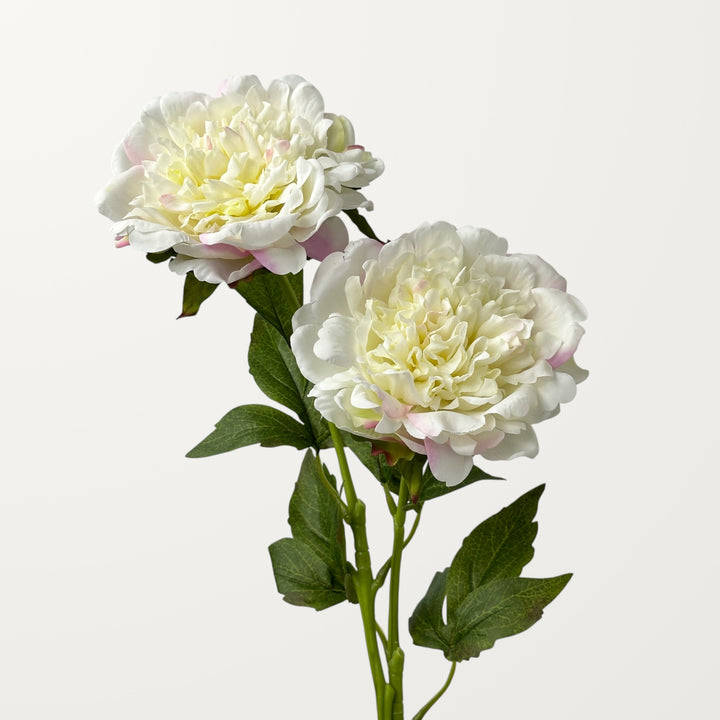 Peony – White Pink (Real Touch) - view 2