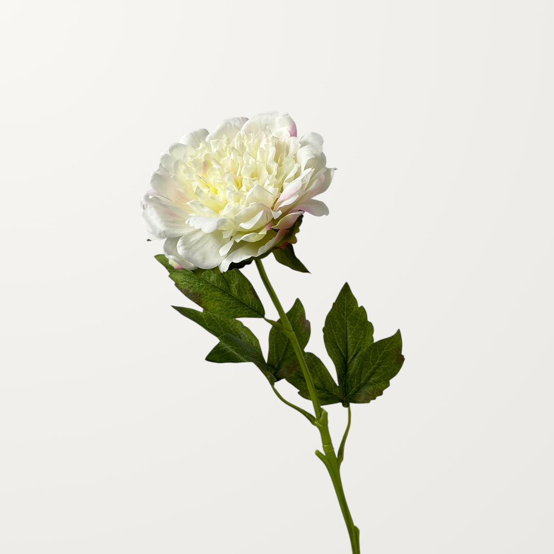 Peony – White Pink (Real Touch) - view 3