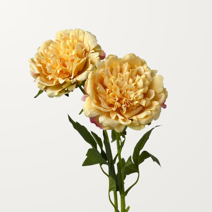 Peony – Yellow (Real Touch) - view 2