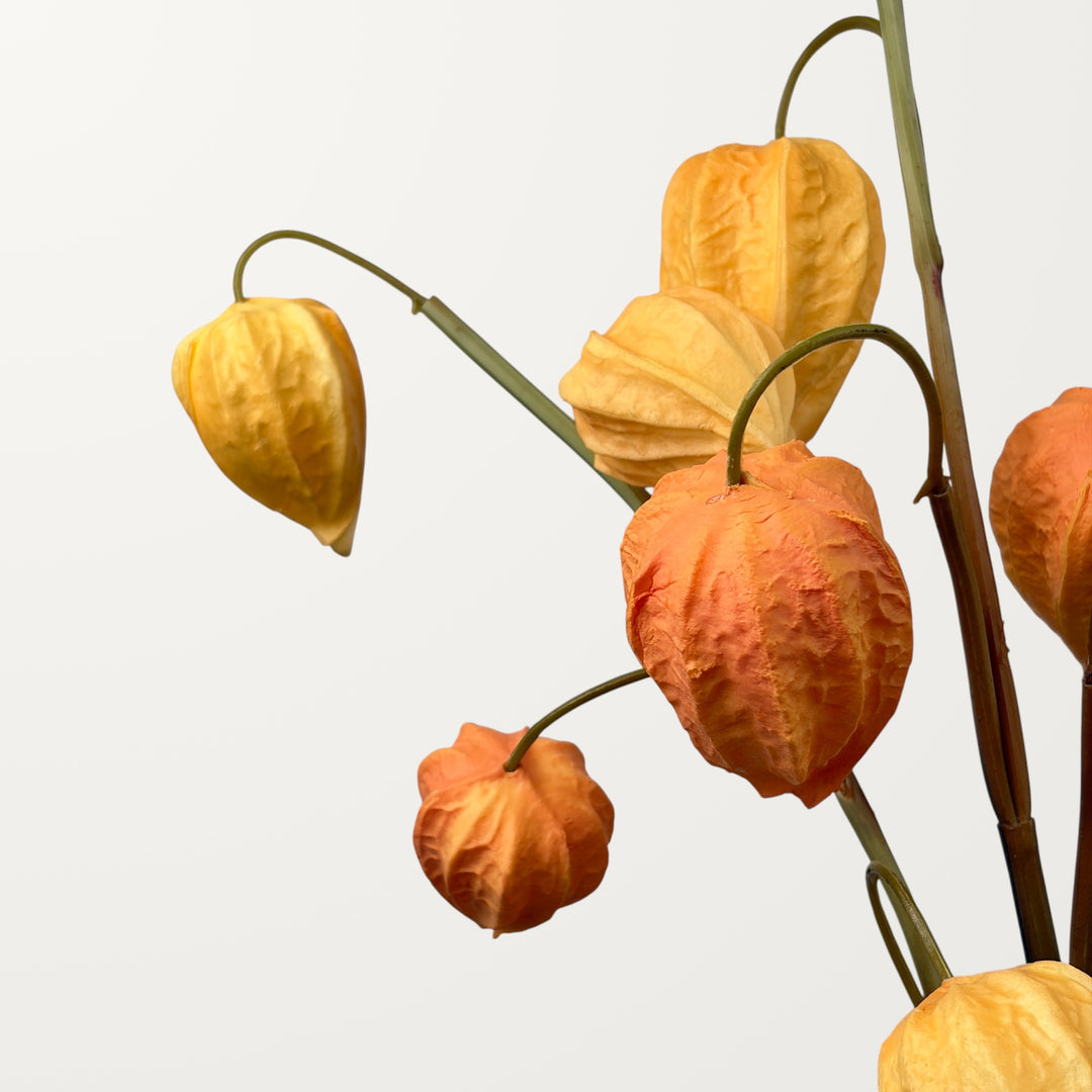 Physalis – Amber (Real Touch) - view 3