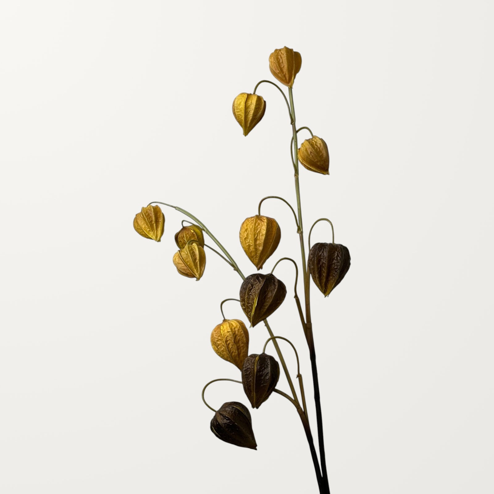 Physalis – Burnt Orange (Real Touch) - view 2
