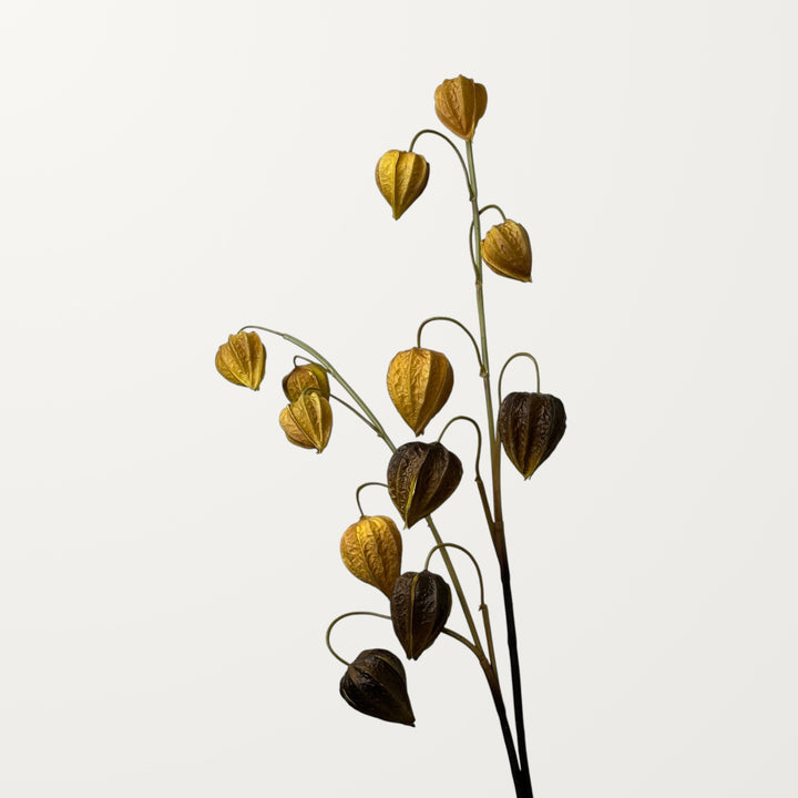 Physalis – Burnt Orange (Real Touch) - view 2