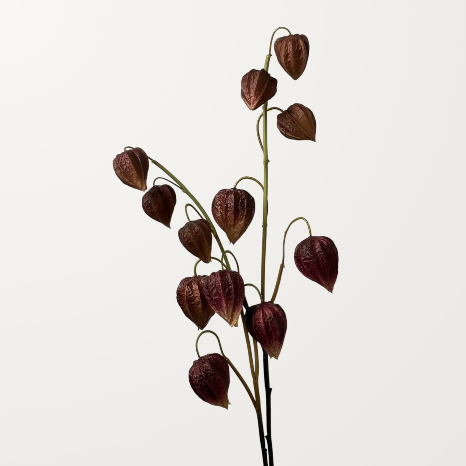 Physalis – Dusty Red (Real Touch) - view 2