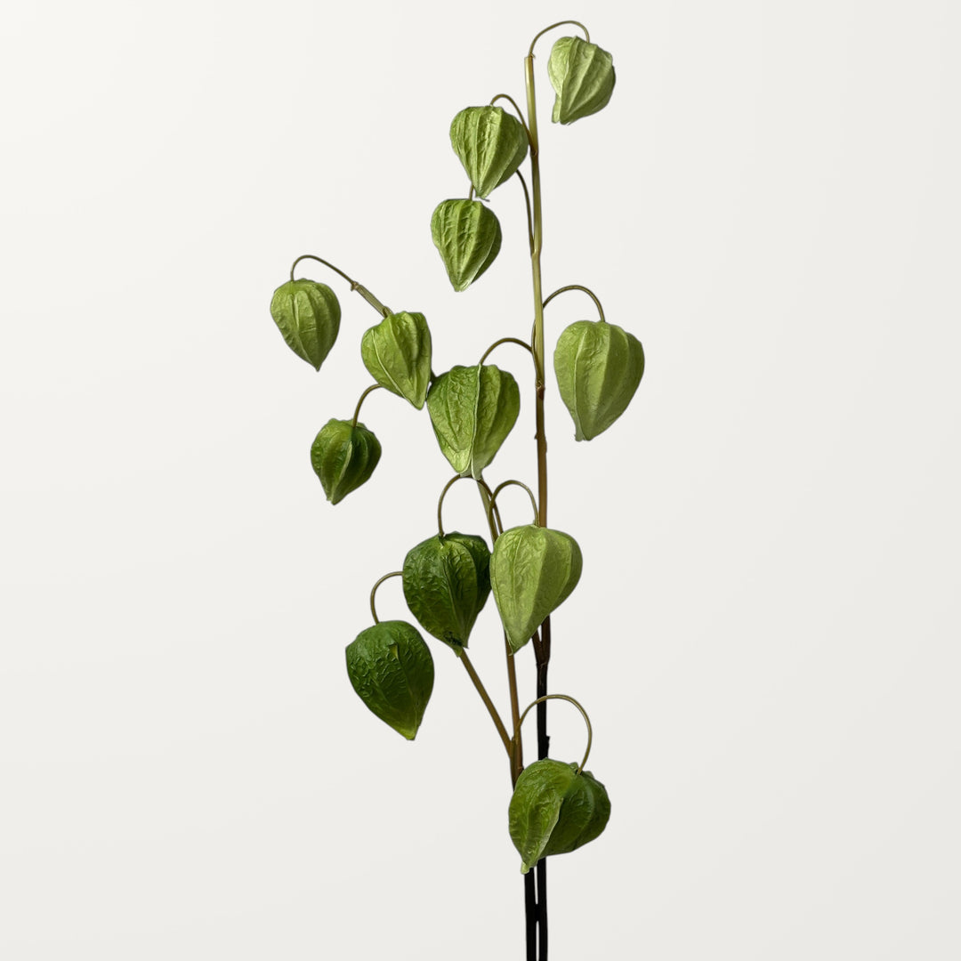 Physalis – Olive Green (Real Touch) - view 2