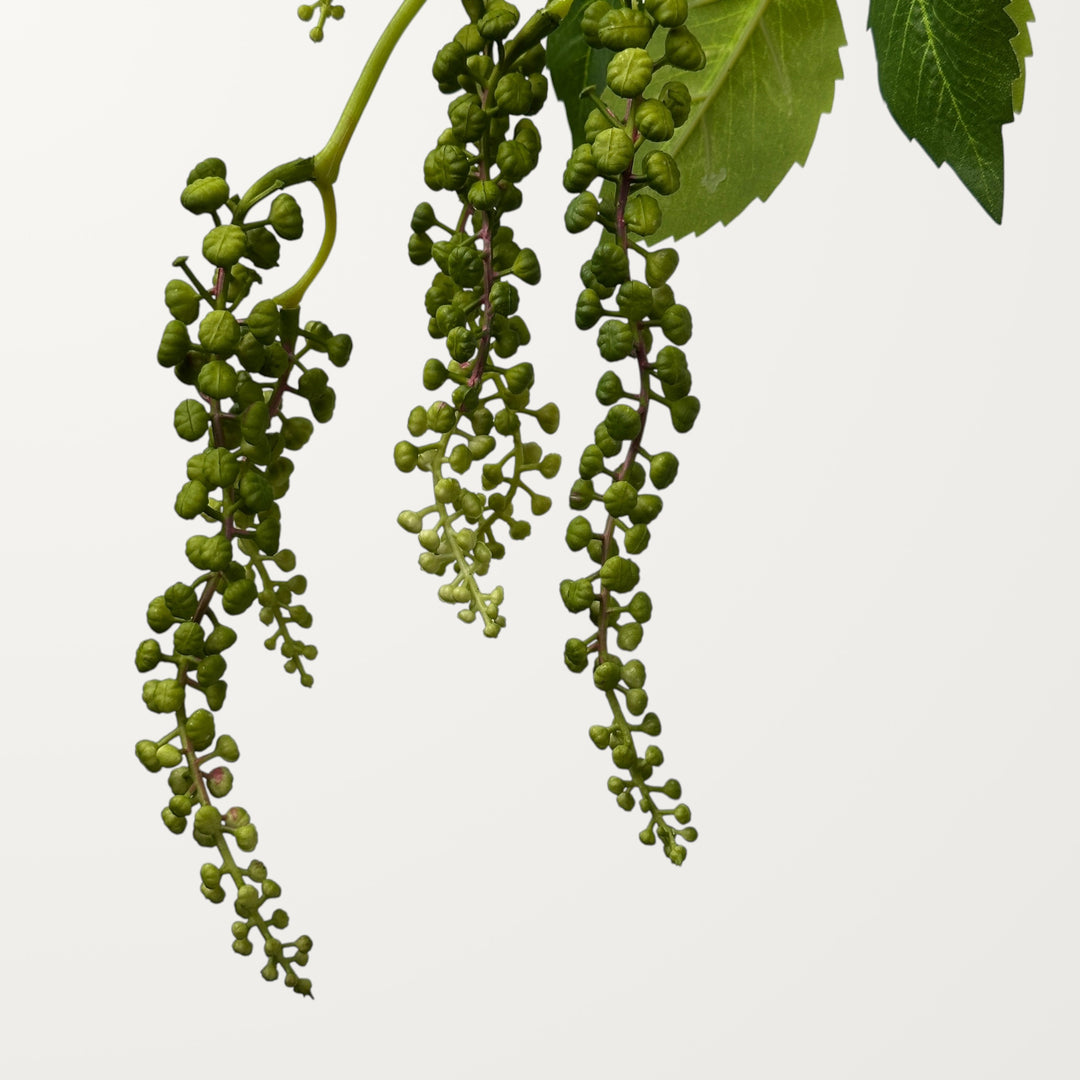 Pokeweed Berry – Spring Green - view 2