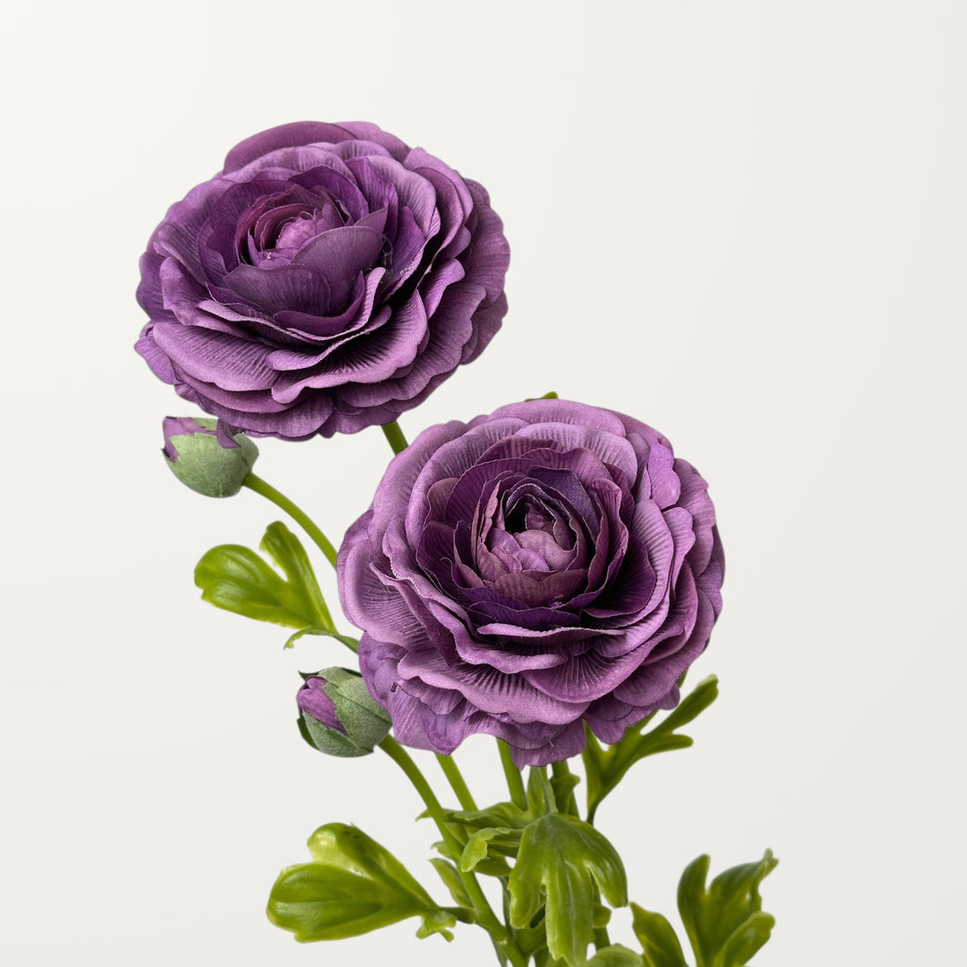 Ranunculus – Purple (Real Touch) - view 2