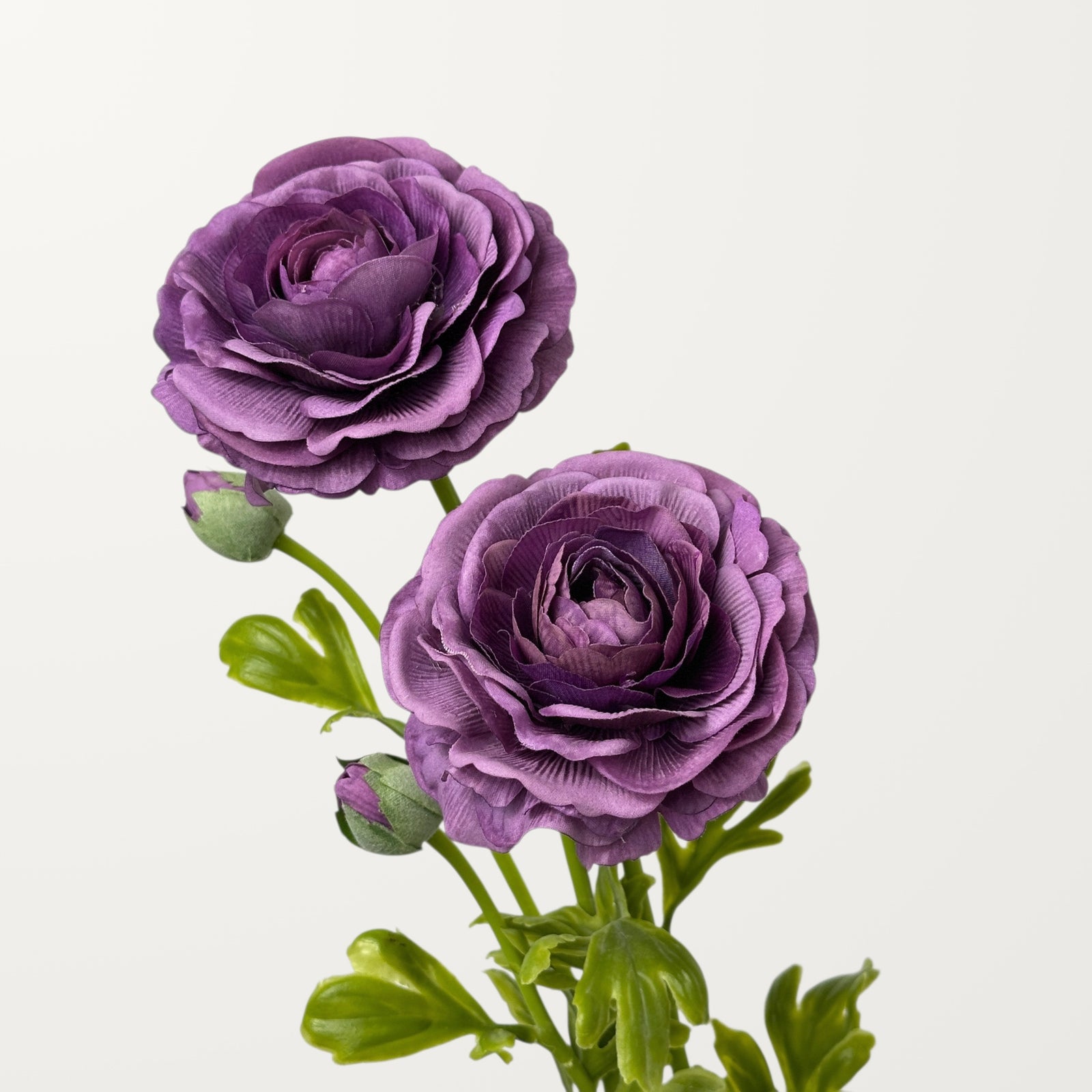 Ranunculus – Purple (Real Touch) - view 2