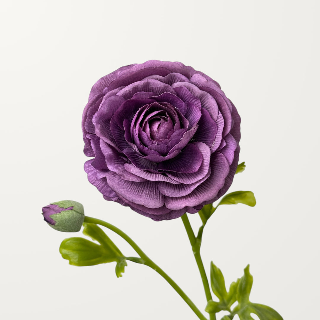 Ranunculus – Purple (Real Touch)