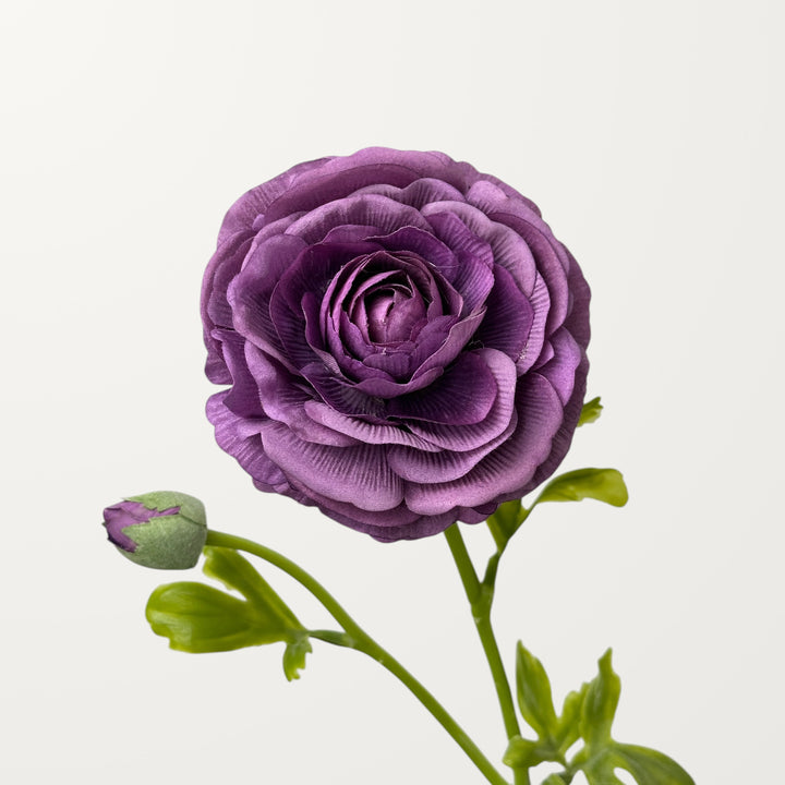 Ranunculus – Purple (Real Touch)