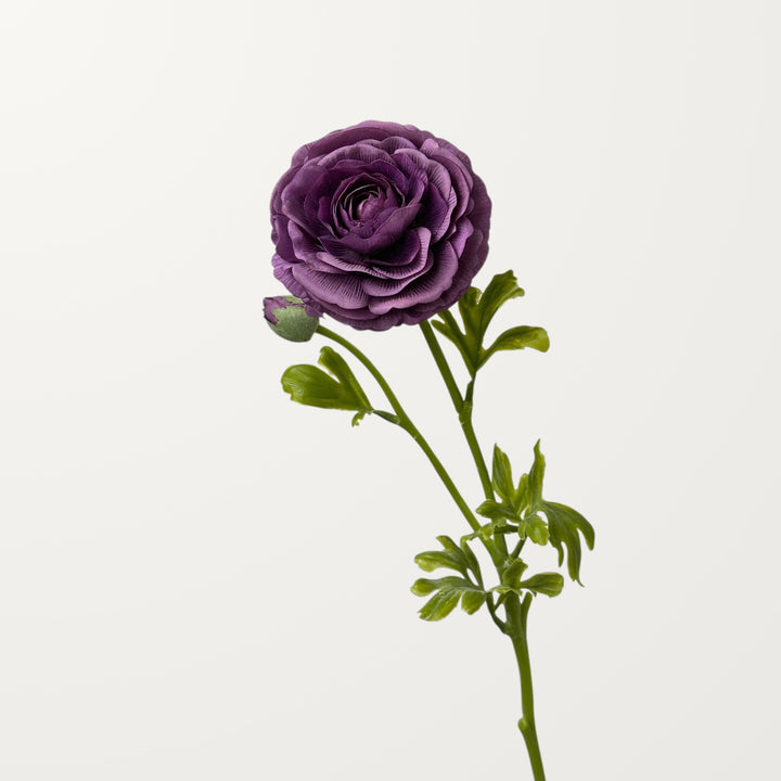 Ranunculus – Purple (Real Touch) - view 3