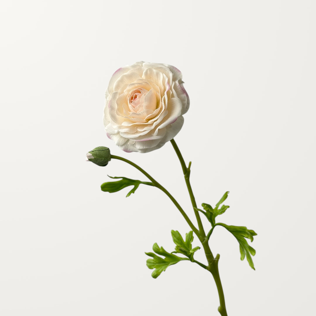 Ranunculus – Soft Apricot (Real Touch) - view 3