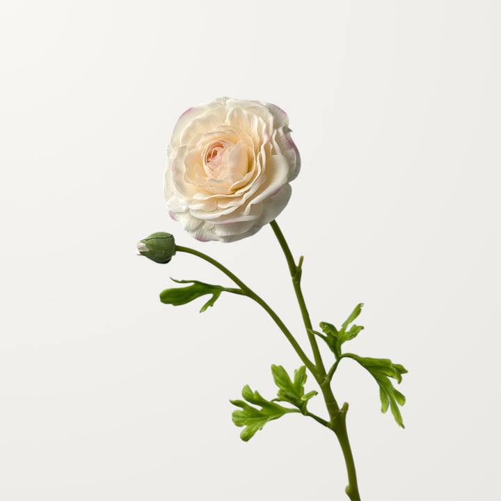 Ranunculus – Soft Apricot (Real Touch) - view 3