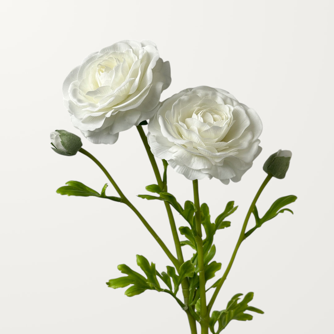 Ranunculus – White (Real Touch) - view 2