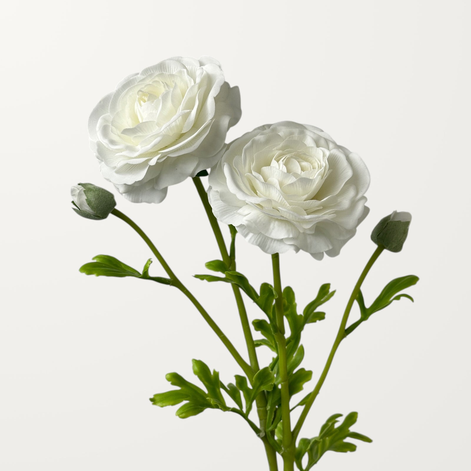 Ranunculus – White (Real Touch) - view 2