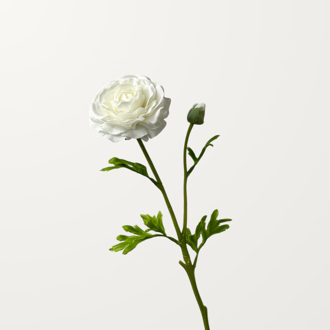 Ranunculus – White (Real Touch) - view 3