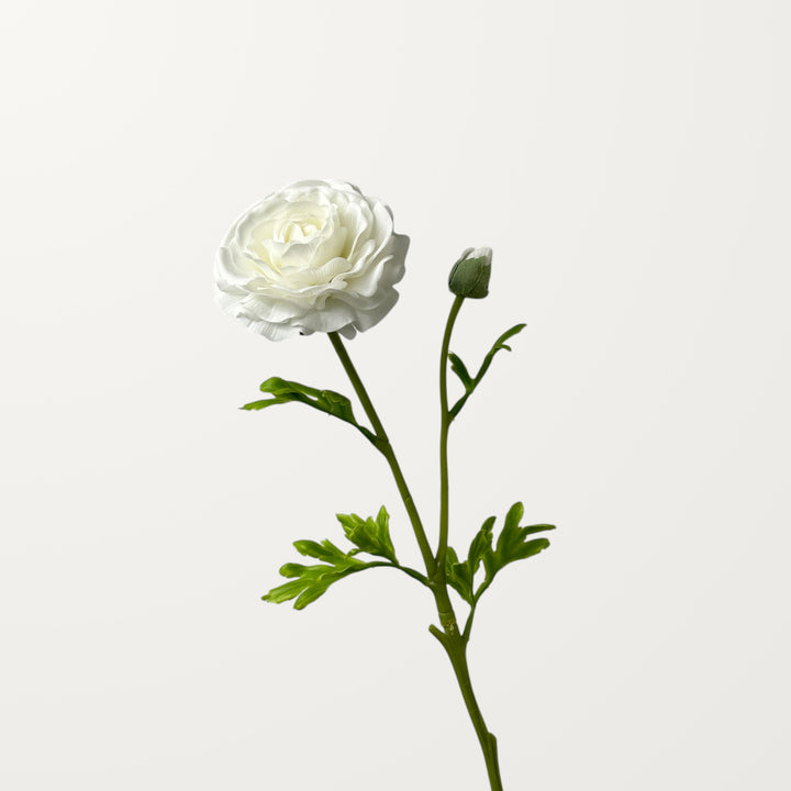 Ranunculus – White (Real Touch) - view 3