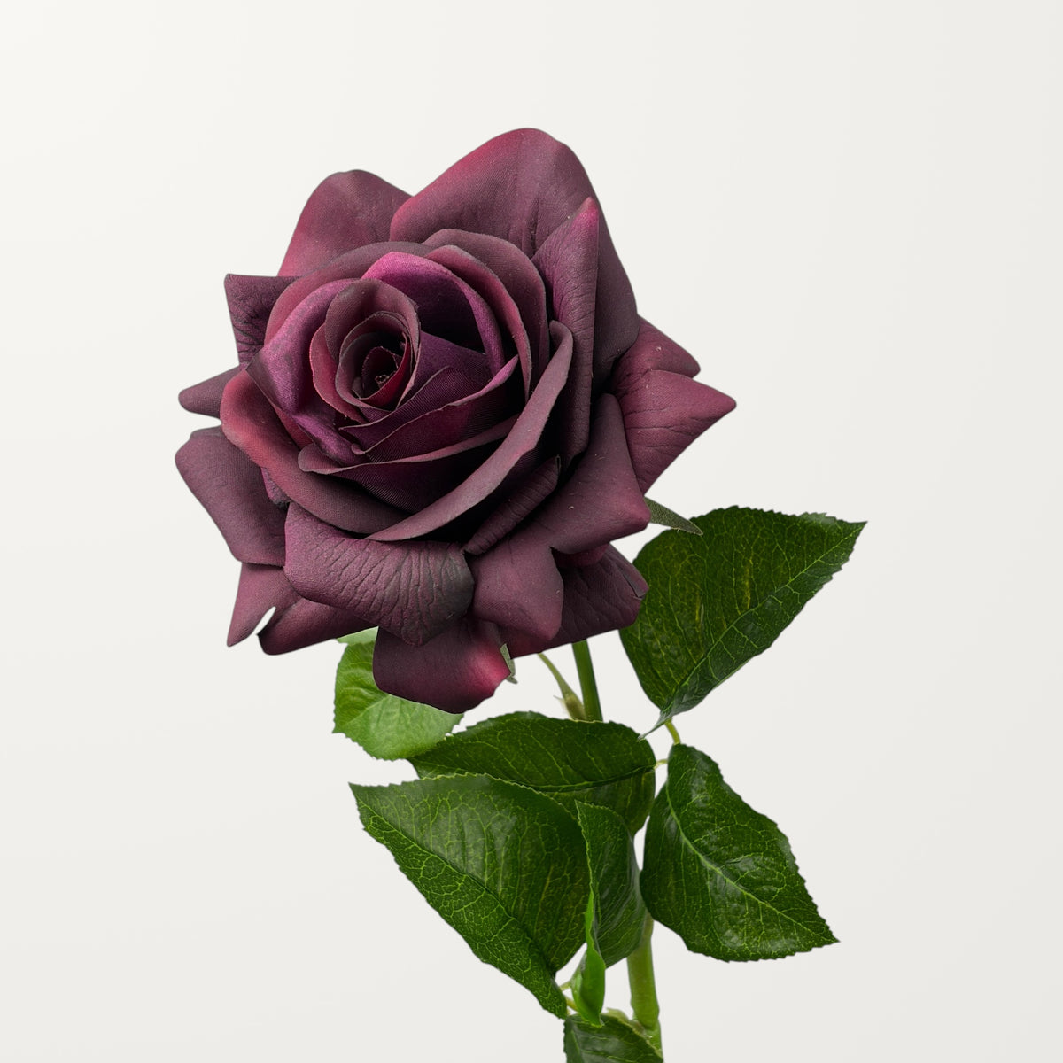 Large Rose – Dark Burgundy (Real Touch)
