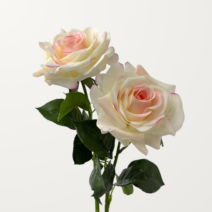 Large Rose – Ivory Blush (Real Touch)