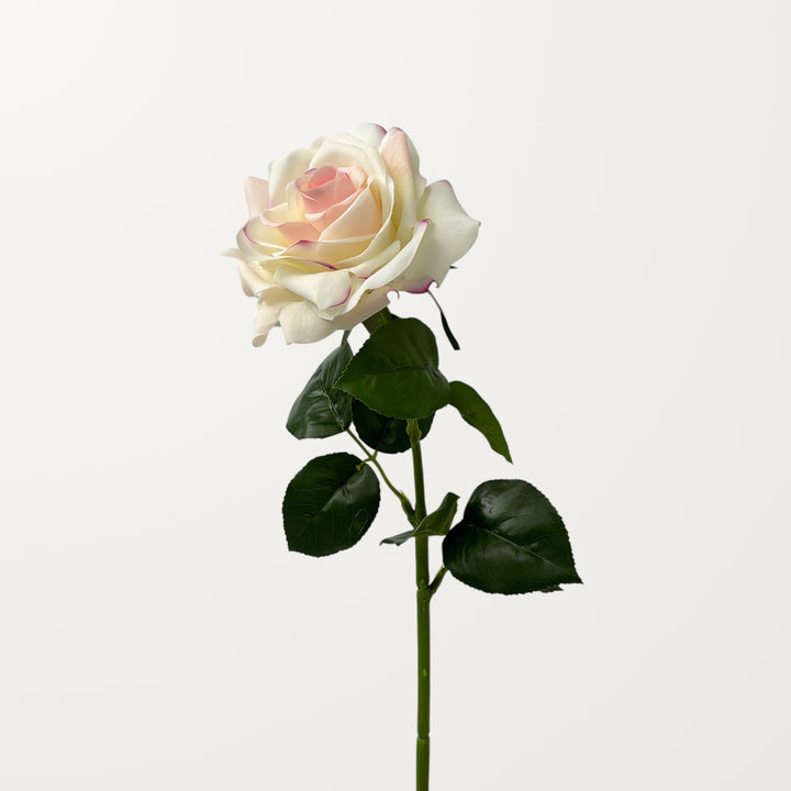 Large Rose – Ivory Blush (Real Touch)