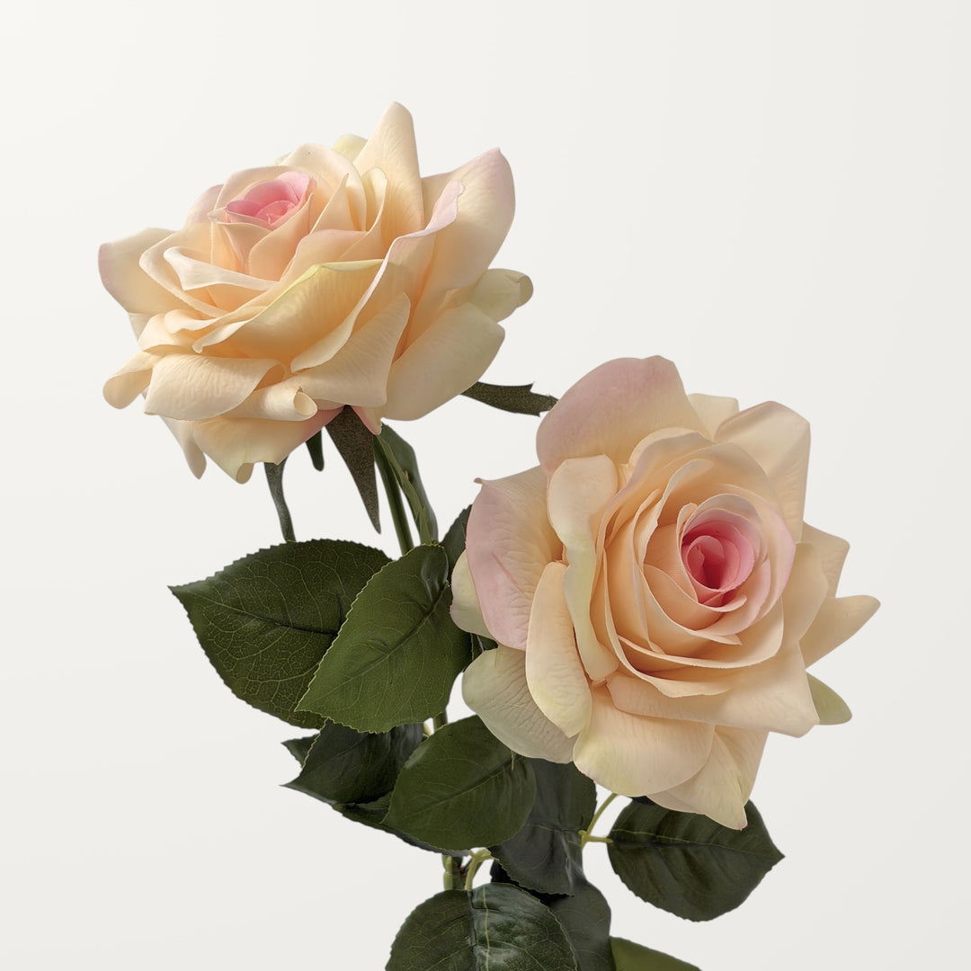 Large Rose – Peach Blush (Real Touch)