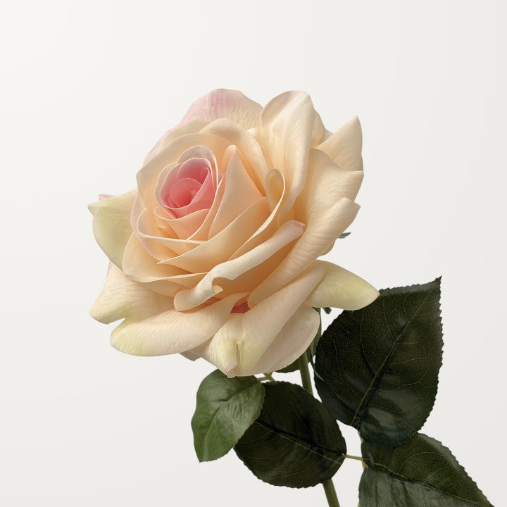 Large Rose – Peach Blush (Real Touch)