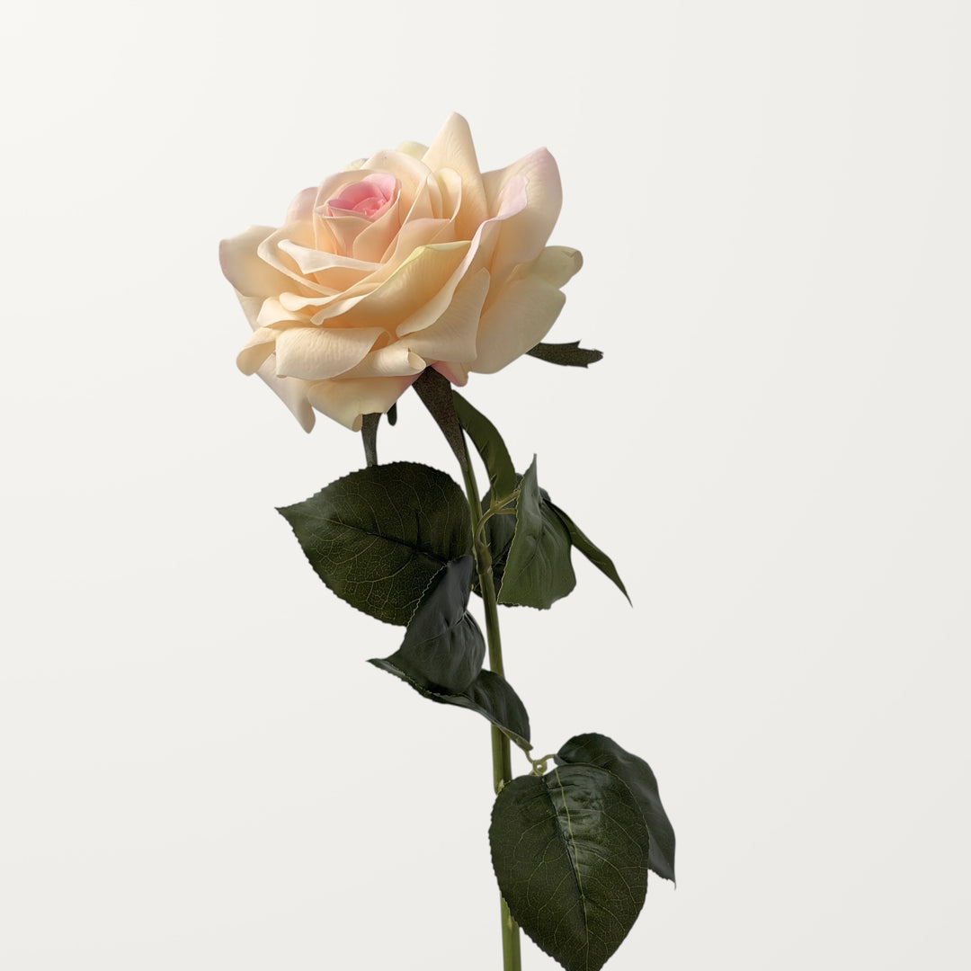 Large Rose – Peach Blush (Real Touch)