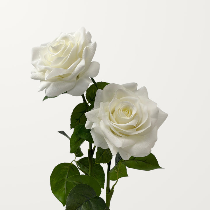 Large Rose – White (Real Touch)
