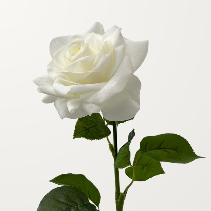 Large Rose – White (Real Touch)