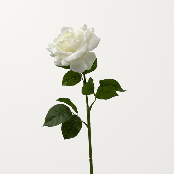 Large Rose – White (Real Touch)